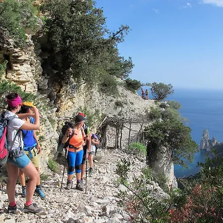 Apartment Yellowhouse